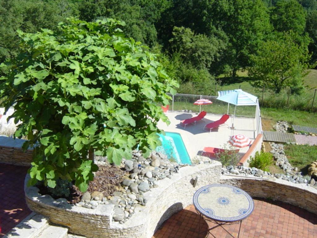 Chambres d'Hôtes Coteaux Sud Jurançon Extérieur photo